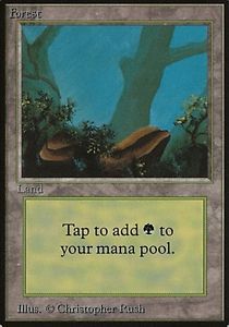 Magic the gathering beta lot of 5 forests (all matching art, version 1)