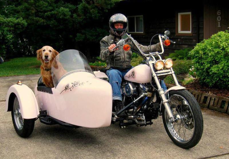Softail with California Sidecar 96