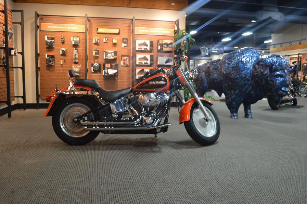 2001 Harley-Davidson FLSTF/FLSTFI Fat Boy Cruiser 