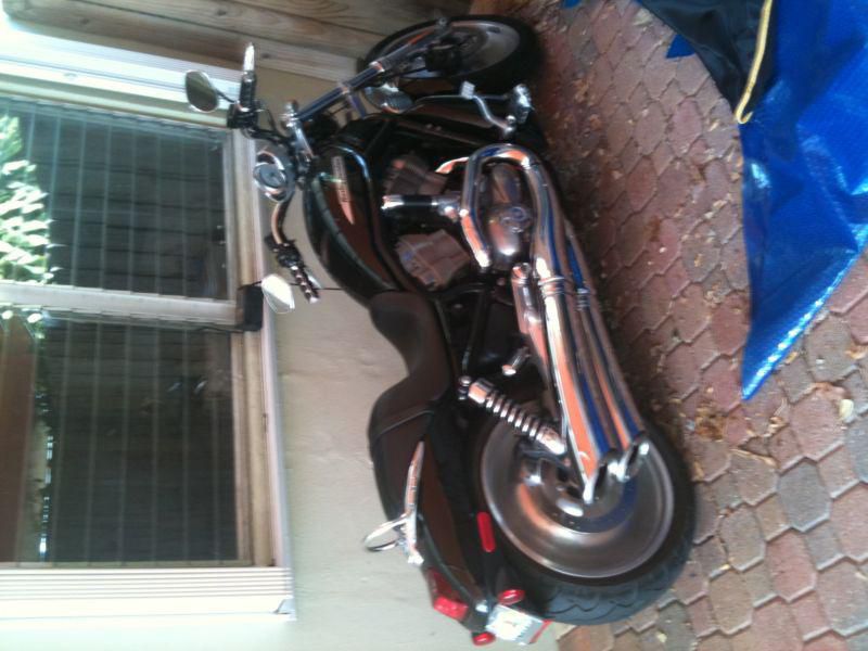 2005 Harley Davidson VROD