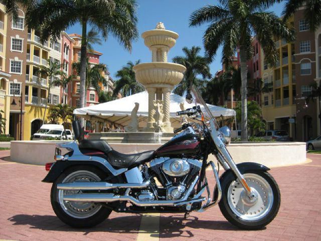 2007 Harley-Davidson FAT BOY Cruiser 