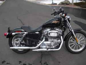 2008 Harley Davidson Sportster XL883Low~*~*~*~