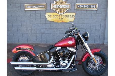 2013 Harley-Davidson FLS Cruiser 