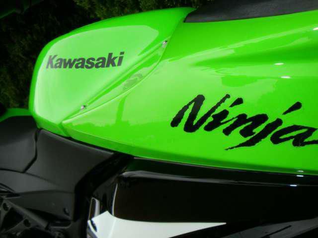 2009 Kawasaki Ninja 250R Sportbike 