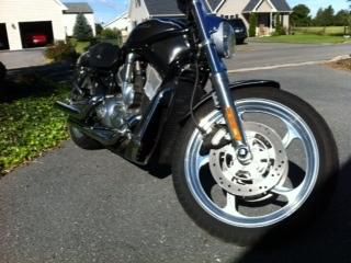2004 Harley Davidson Custom V-Rod