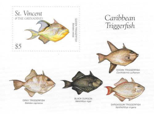 St. Vincent - Caribbean Triggerfish, 1996 - Sc 2335 S/S MNH