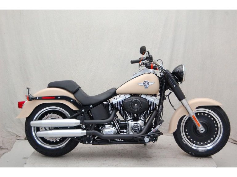 2014 Harley-Davidson FLSTFB 103 