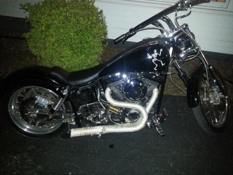 custom Harley Davidson Wideglide