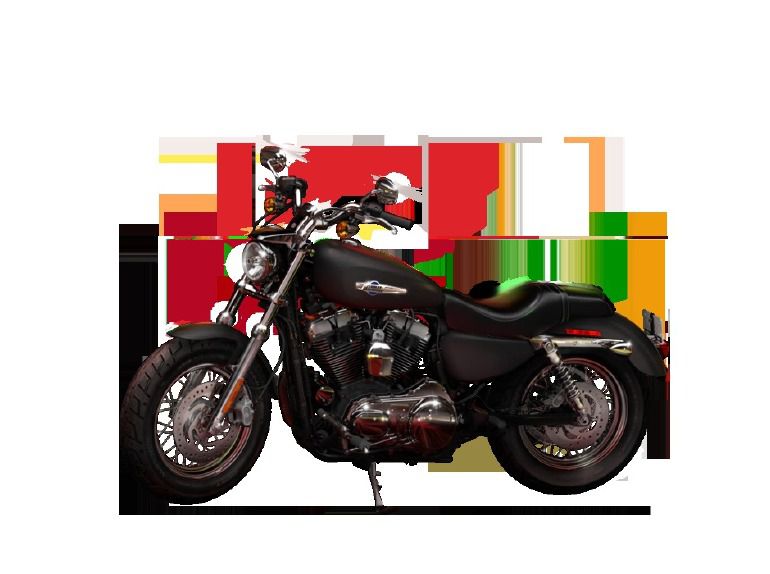 2014 Harley-Davidson 1200 Custom XL1200C 
