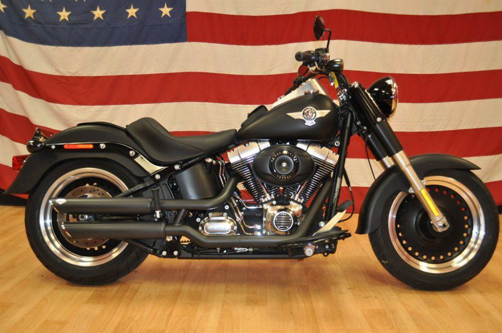 2011 Harley-Davidson Flstb Cruiser 