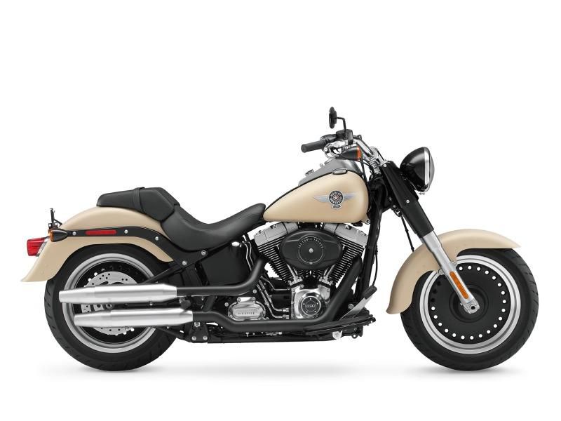 2014 Harley-Davidson Softail Fat Boy Lo LO Cruiser 