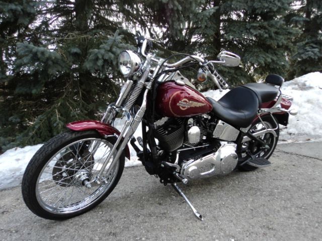 Used 2005 Harley Davidson FXSTC for sale.
