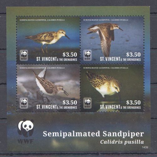 U308 2014 st.vincent wwf birds semipalmated sandpiper 1kb mnh