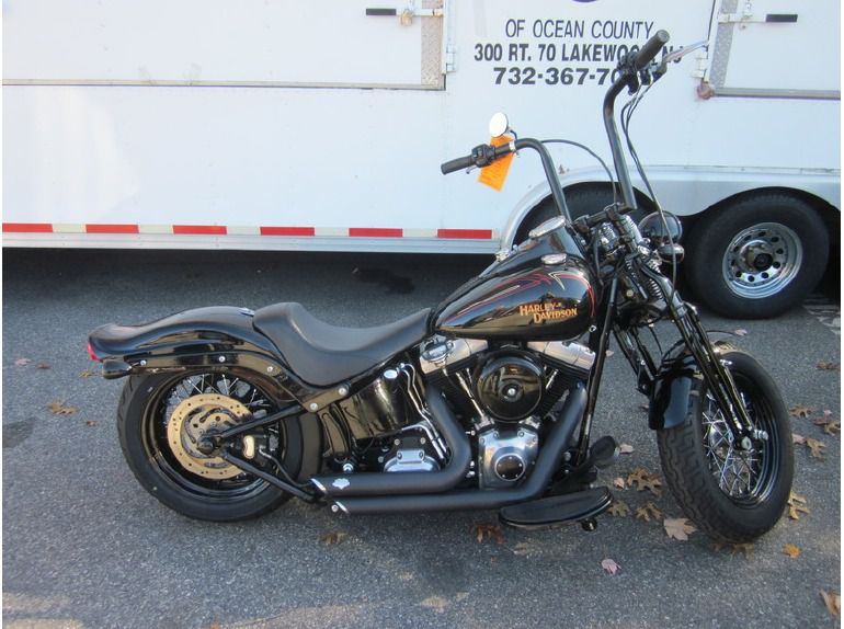 2010 Harley-Davidson FLSTSB - CROSS BONES 