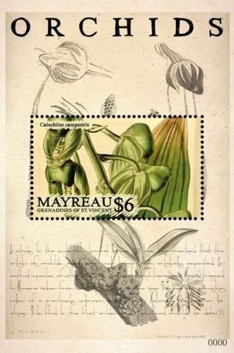 Mayreau Grenadines of St. Vincent - Orchids, 2011 - 1108 S/S MNH