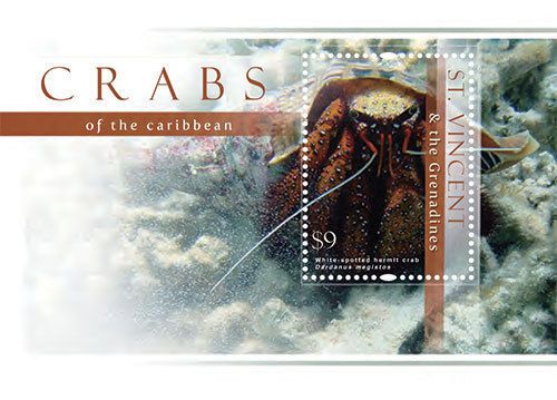 St. Vincent &amp; Grenadines-2013-Crab