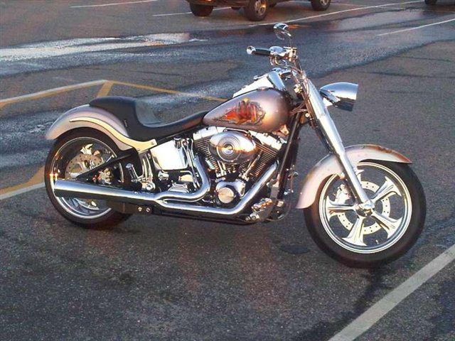 2002 Silver Harley Davidson FLSTFI
