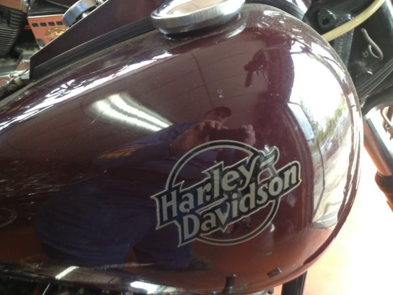 Harley Davidson Willie G Special FXWG RARE ORIGINAL 2 OWNER