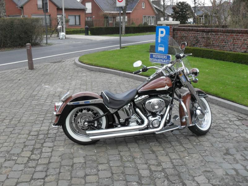Immaculate 2005 harley davidson softail deluxe + stand-up phoenix trailer