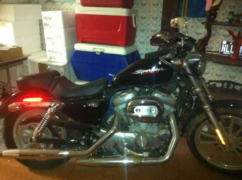 04' Harley-Davidson Sportster 883 with 3880 miles