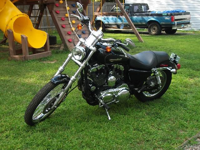 2009 HARLEY-DAVIDSON SPORTSTER 1200C Bought this year from dealer, runs great