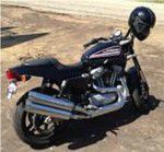 Used 2010 Harley-Davidson Sportster XR1200 XR1200 For Sale