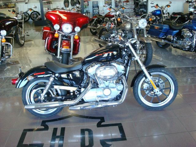 Harley davidson sportster superlow xl883l  great buy