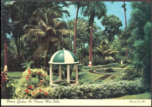 Botanic gardens, st vincent, west indies