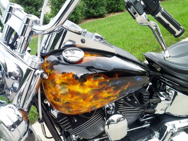 2009 Harley Davidson Softail Deluxe Custom 