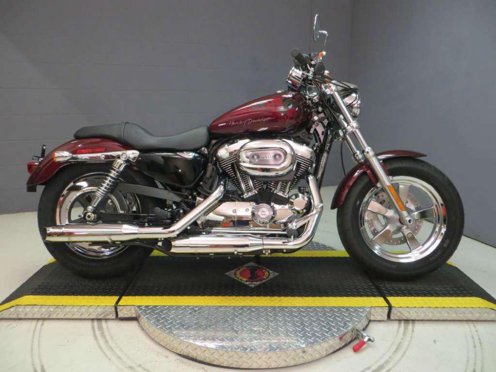 2014 Harley-Davidson XL 1200 CP Standard 