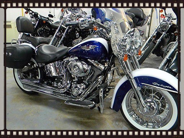 2007 Harley Davidson Softail Deluxe FLSTN - Pompano,Florida