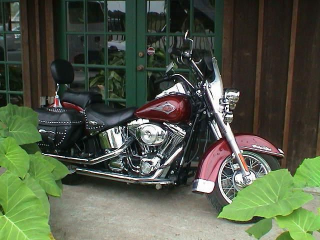 Used 2001 Harley Davidson for sale.