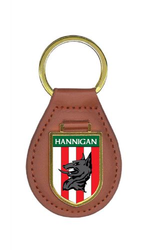 Hannigan Coat of Arms Key Ring / Key Chain / Key Fob / Ireland / Irish / Crest
