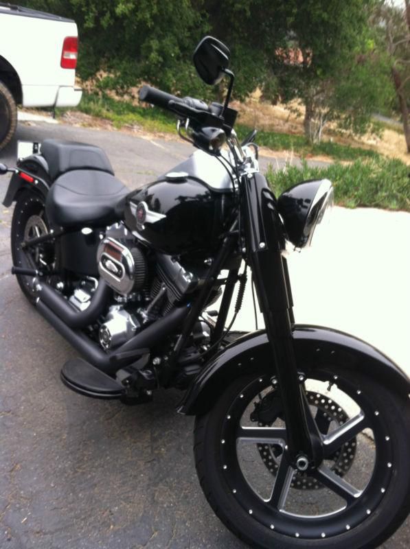 2010 Harley Davidson Softail Fat Boy Lo Custom FLSTFB